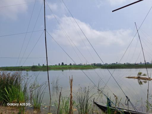 عکس آبندان نیلوفر آبی