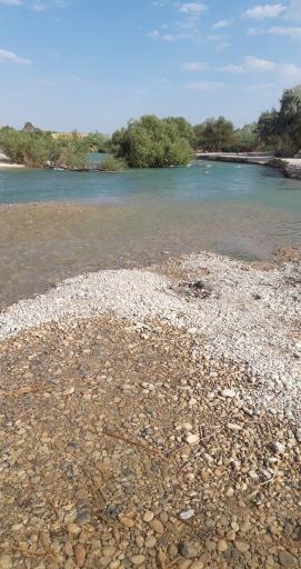 عکس کامفیروز