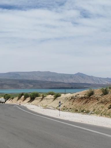 عکس کامفیروز