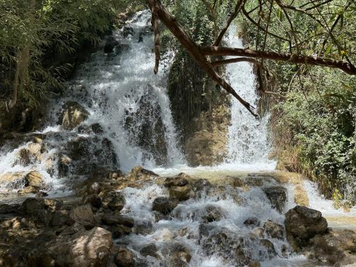 عکس کامفیروز