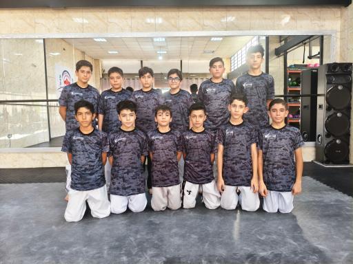 عکس باشگاه ورزشی آریایی 