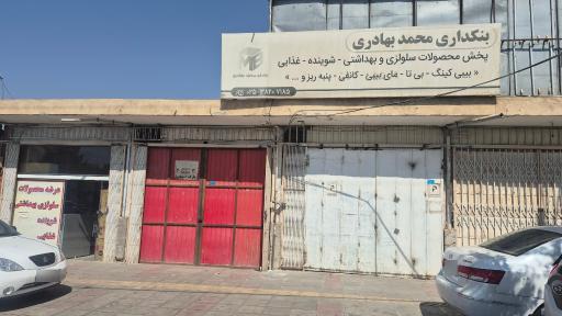 عکس پخش بهادری