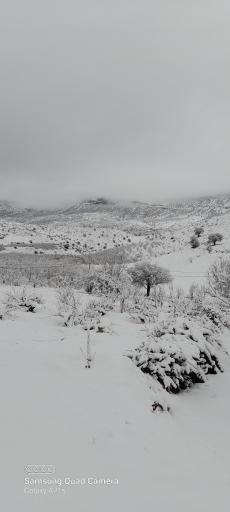 عکس کامفیروز