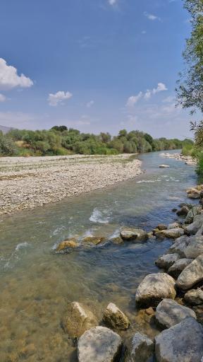عکس کامفیروز