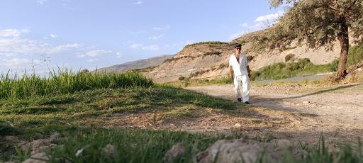 عکس کامفیروز