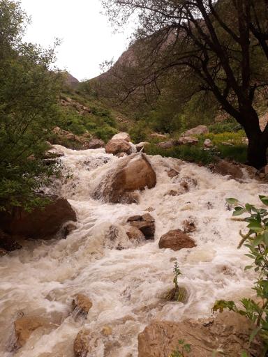 عکس قلعه ملک بهمن