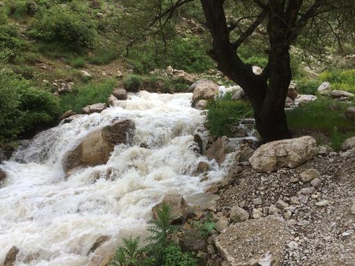 عکس قلعه ملک بهمن