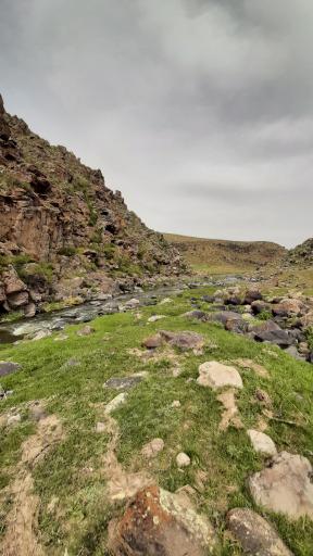 عکس آیی قالاسی نیر