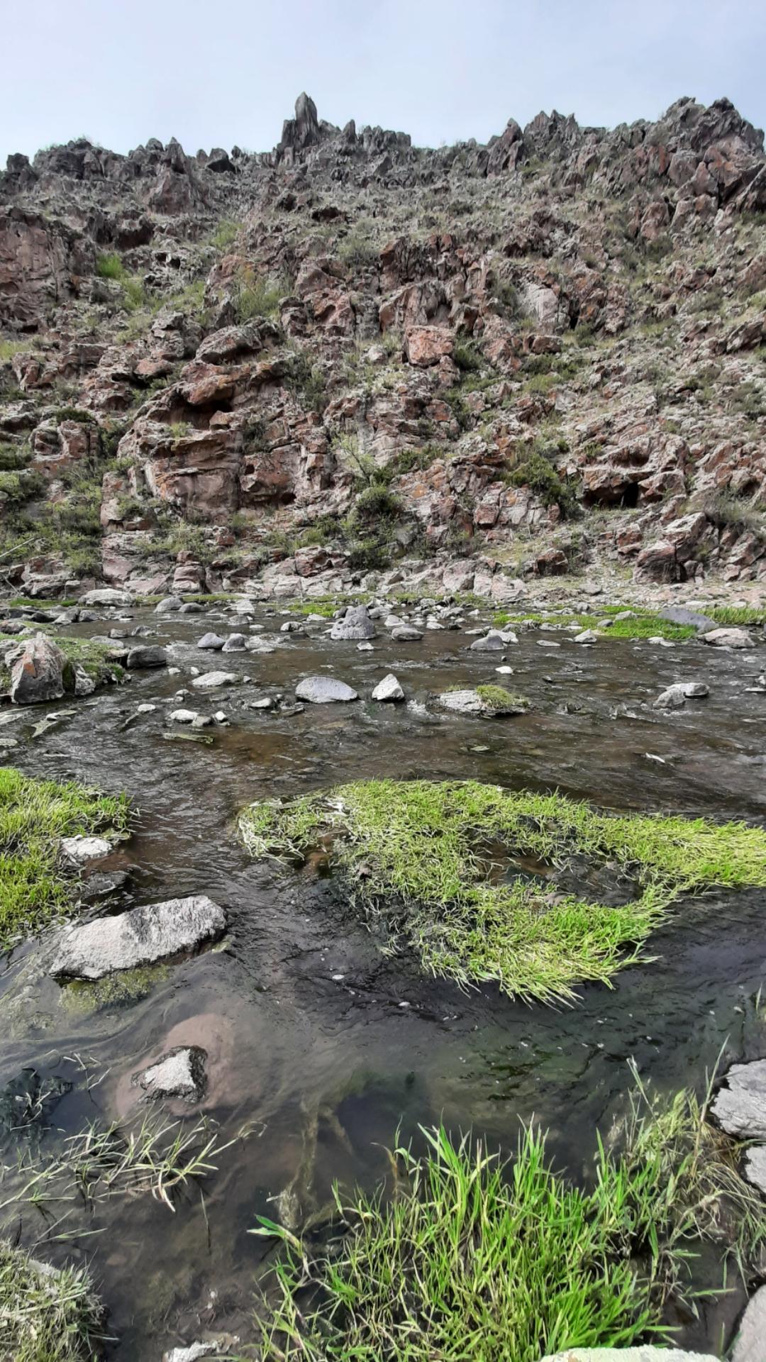 عکس آیی قالاسی نیر