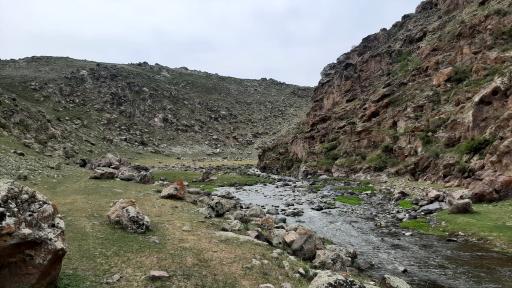 عکس آیی قالاسی نیر