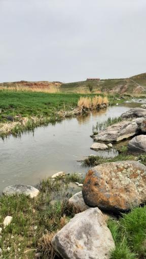 عکس آیی قالاسی نیر