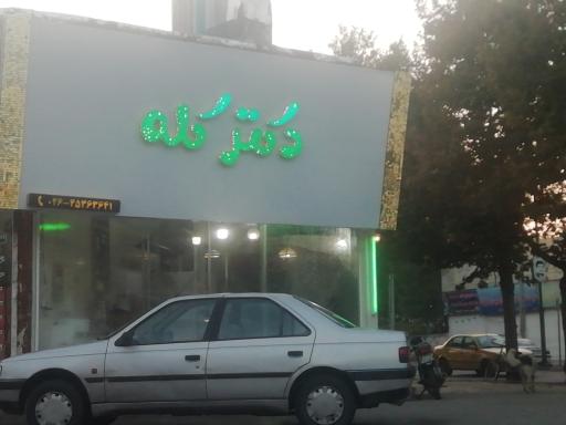 عکس طباخی دکتر کله