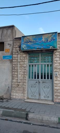 عکس زمین فوتبال داخل سالن  شهید مجتهدی