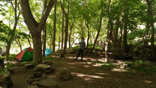 عکس باغچه خلیل دارآباد