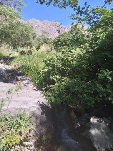 عکس باغچه خلیل دارآباد