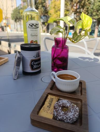 عکس کافه تلفیق هنر