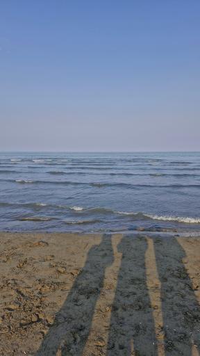 عکس ساحل دریا استارا