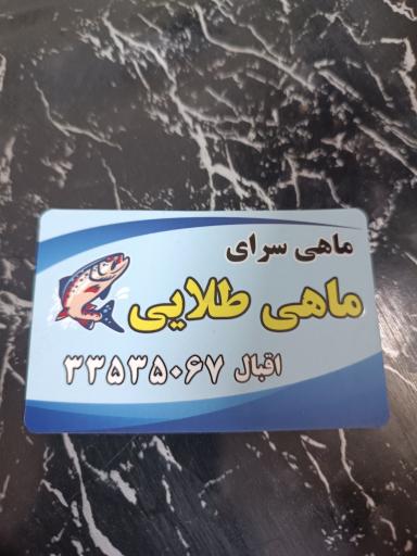 عکس ماهی سرای ماهی طلایی