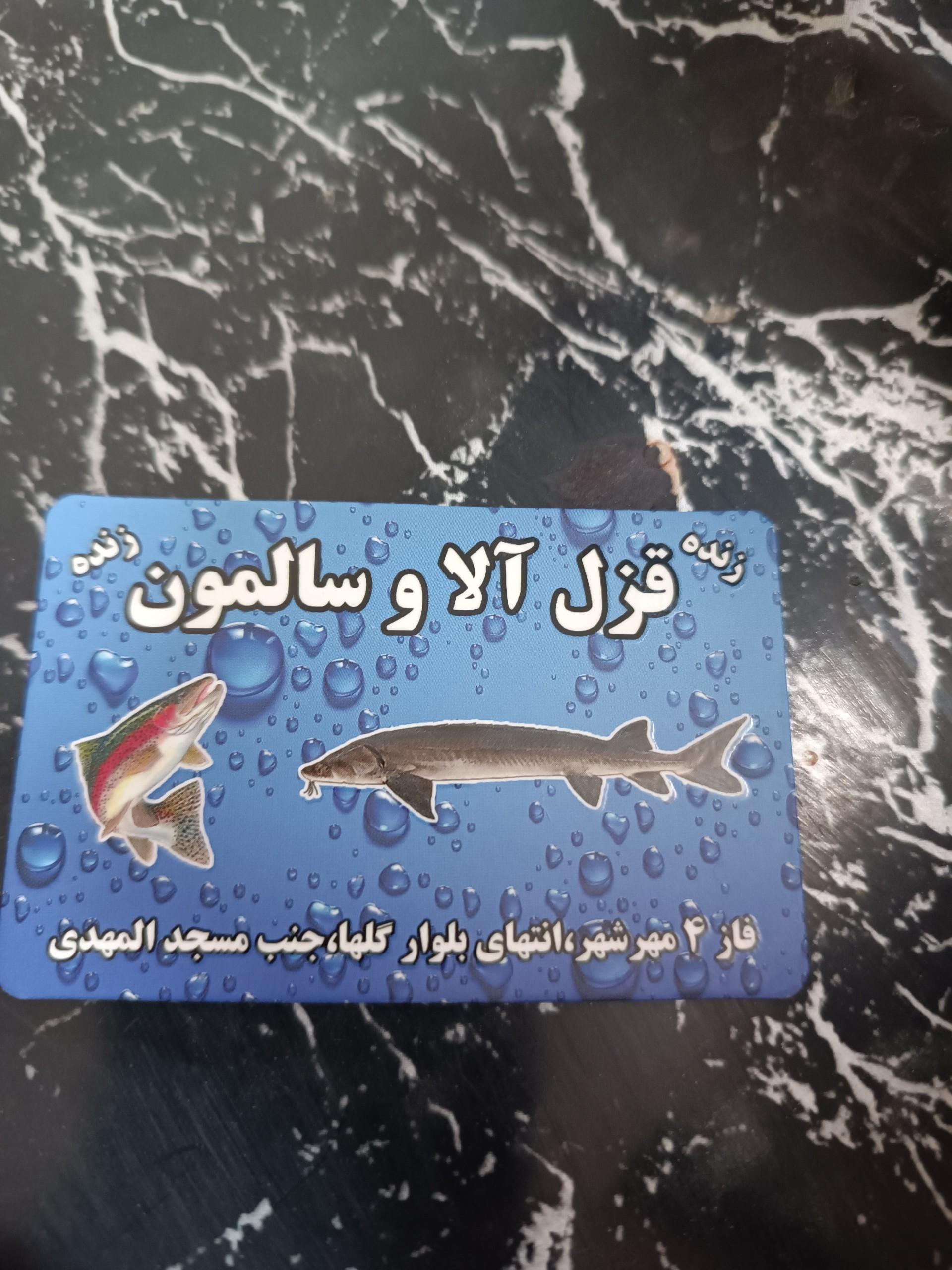 عکس ماهی سرای ماهی طلایی