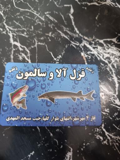 عکس ماهی سرای ماهی طلایی