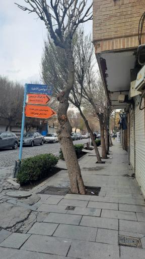 عکس رستوران سنتی باغ شازده