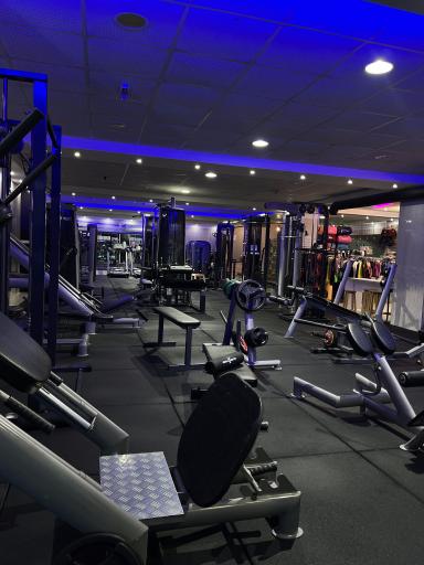 عکس باشگاه بانوان ندا توانگری