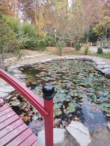 عکس باغ گلهای نجف آباد