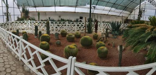 عکس باغ گلهای نجف آباد