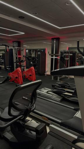 عکس باشگاه بانوان ندا توانگری