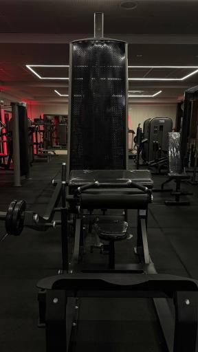 عکس باشگاه بانوان ندا توانگری