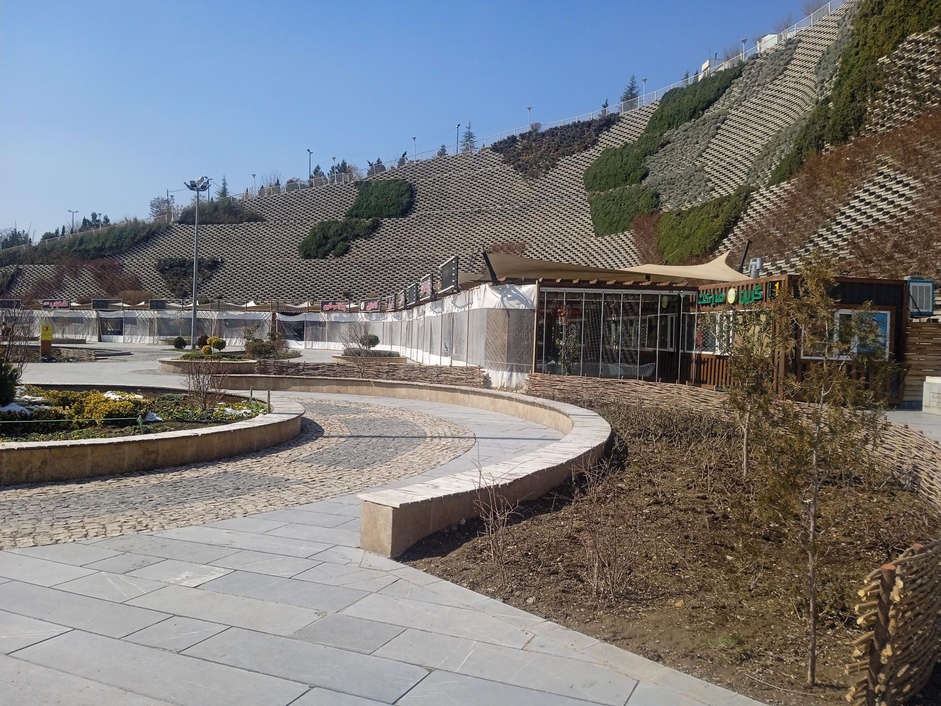 عکس گاو برگر