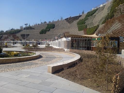 عکس گاو برگر