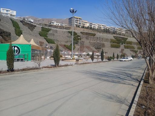 عکس گاو برگر