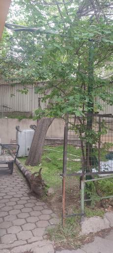 عکس خوابگاه شهید سلامت دانشگاه علامه طباطبائی