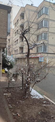 عکس خوابگاه شهید سلامت دانشگاه علامه طباطبائی