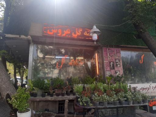 عکس گل فروشی خانه گل