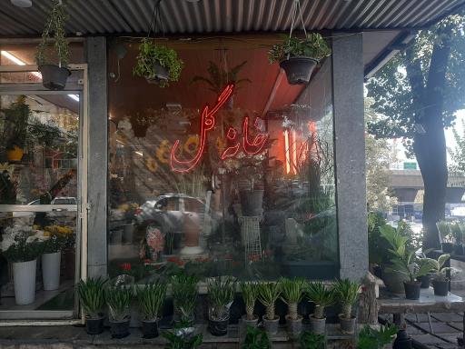 عکس گل فروشی خانه گل