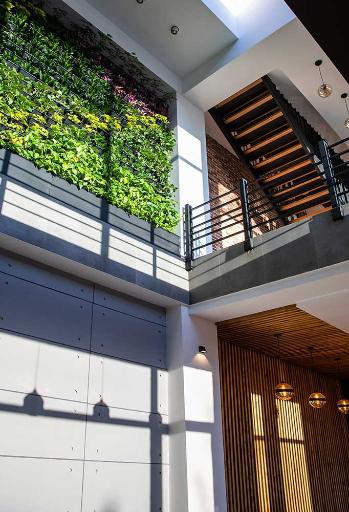 عکس رستوران داژیار