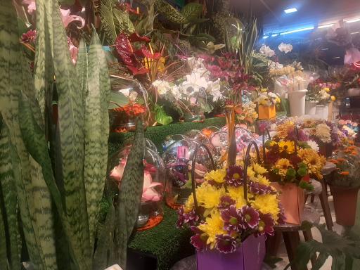 عکس گل فروشی خانه گل