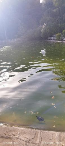 عکس بوستان چمران