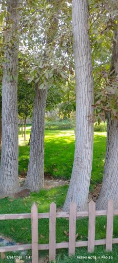 عکس بوستان چمران