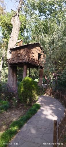 عکس بوستان چمران