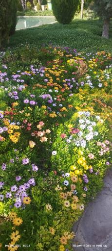 عکس بوستان چمران