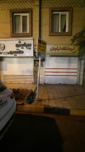عکس  ارغوان 4