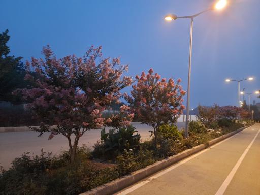 عکس بوستان چمران