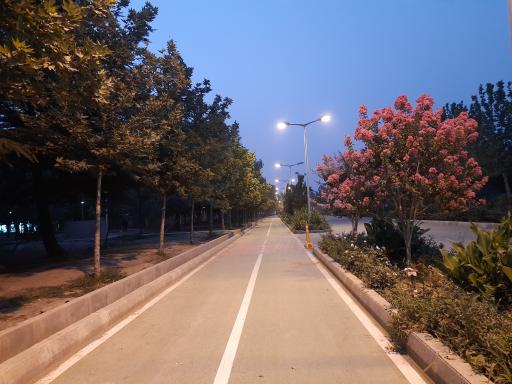 عکس بوستان چمران