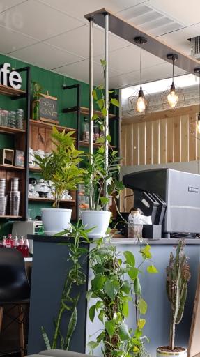 کافه گرین