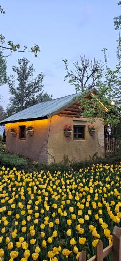 عکس بوستان چمران