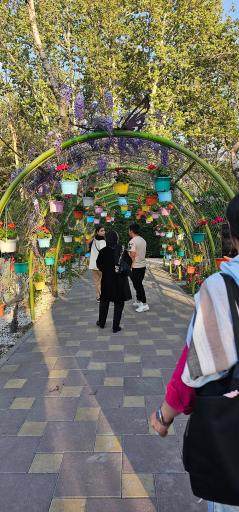 عکس بوستان چمران