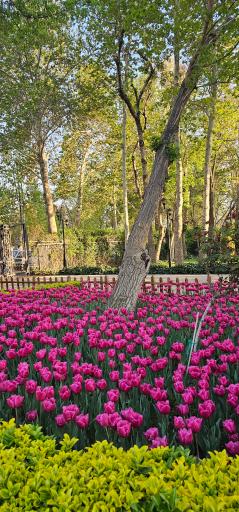 عکس بوستان چمران